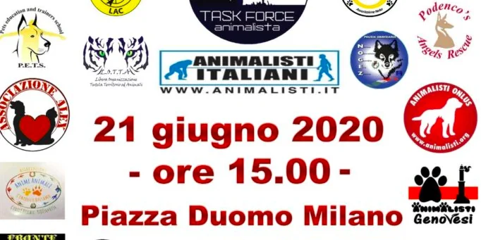 Task Force animalista: tutti in piazza